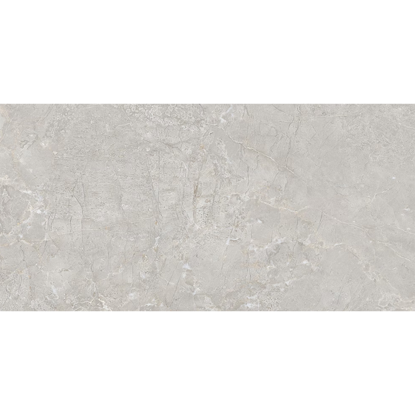 Belvedere Forest Matt Porcelain Tiles - 1200 x 600 x 9mm