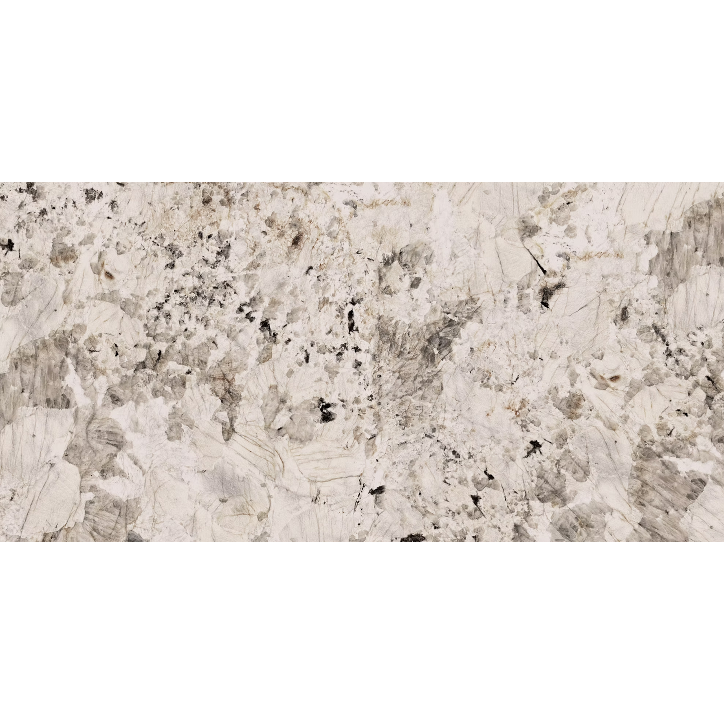 Bonito Bianco Polished Porcelain Tiles - 1200 x 600 x 9mm