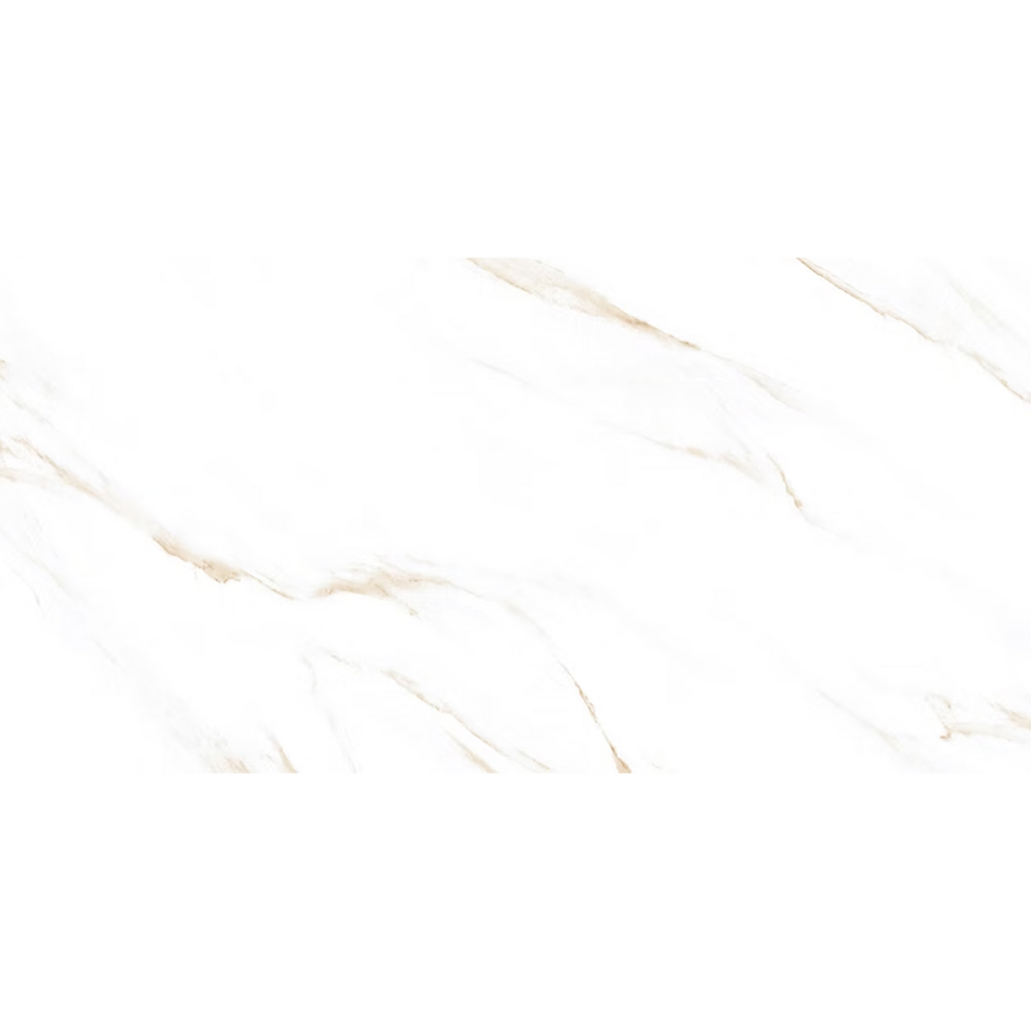Calacutta Gold Gloss Porcelain Tiles - 600 x 600 x 9mm