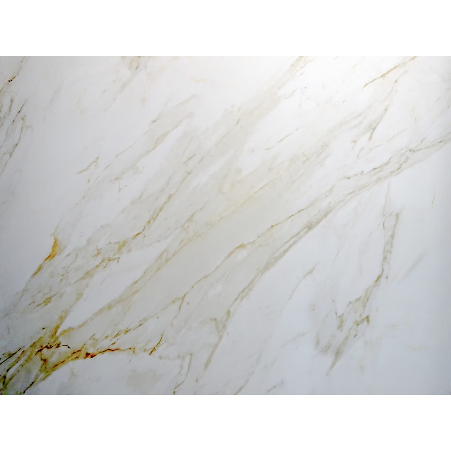 Calcutta Borghini Polished Porcelain Tiles - 1200 x 1200 x 9mm