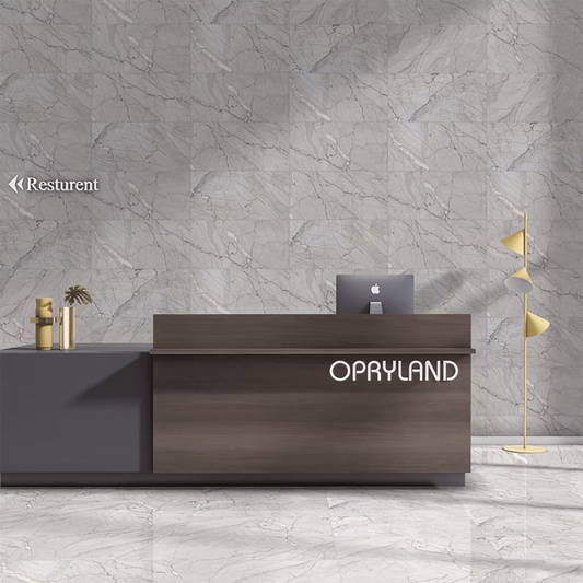 Almia Light Polished Porcelain Tiles - 600 x 300 x 9mm